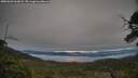./images/calvert/fitz-hugh-hecate/20250603/fitz-hugh-hecate20250603_062008M.jpg