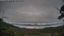 ./images/calvert/fitz-hugh-hecate/20250603/fitz-hugh-hecate20250603_063509M.jpg