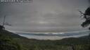 ./images/calvert/fitz-hugh-hecate/20250603/fitz-hugh-hecate20250603_064009M.jpg