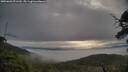 ./images/calvert/fitz-hugh-hecate/20250603/fitz-hugh-hecate20250603_071510M.jpg