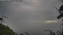 ./images/calvert/fitz-hugh-hecate/20250603/fitz-hugh-hecate20250603_073510M.jpg