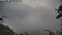 ./images/calvert/fitz-hugh-hecate/20250603/fitz-hugh-hecate20250603_074010M.jpg