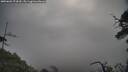 ./images/calvert/fitz-hugh-hecate/20250603/fitz-hugh-hecate20250603_074510M.jpg
