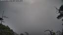 ./images/calvert/fitz-hugh-hecate/20250603/fitz-hugh-hecate20250603_075010M.jpg