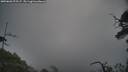 ./images/calvert/fitz-hugh-hecate/20250603/fitz-hugh-hecate20250603_075507M.jpg