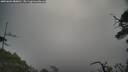 ./images/calvert/fitz-hugh-hecate/20250603/fitz-hugh-hecate20250603_080011M.jpg