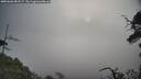 ./images/calvert/fitz-hugh-hecate/20250603/fitz-hugh-hecate20250603_081507M.jpg