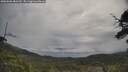./images/calvert/fitz-hugh-hecate/20250603/fitz-hugh-hecate20250603_083510M.jpg