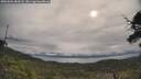 ./images/calvert/fitz-hugh-hecate/20250603/fitz-hugh-hecate20250603_084508M.jpg