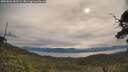 ./images/calvert/fitz-hugh-hecate/20250603/fitz-hugh-hecate20250603_085509M.jpg
