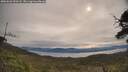 ./images/calvert/fitz-hugh-hecate/20250603/fitz-hugh-hecate20250603_090507M.jpg