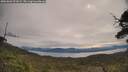 ./images/calvert/fitz-hugh-hecate/20250603/fitz-hugh-hecate20250603_091009M.jpg