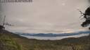 ./images/calvert/fitz-hugh-hecate/20250603/fitz-hugh-hecate20250603_091510M.jpg
