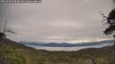 ./images/calvert/fitz-hugh-hecate/20250603/fitz-hugh-hecate20250603_094010M.jpg