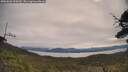 ./images/calvert/fitz-hugh-hecate/20250603/fitz-hugh-hecate20250603_095010M.jpg