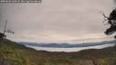 ./images/calvert/fitz-hugh-hecate/20250603/fitz-hugh-hecate20250603_100508M.jpg