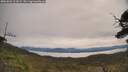 ./images/calvert/fitz-hugh-hecate/20250603/fitz-hugh-hecate20250603_101009M.jpg