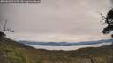 ./images/calvert/fitz-hugh-hecate/20250603/fitz-hugh-hecate20250603_101509M.jpg