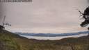 ./images/calvert/fitz-hugh-hecate/20250603/fitz-hugh-hecate20250603_102009M.jpg