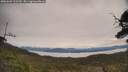 ./images/calvert/fitz-hugh-hecate/20250603/fitz-hugh-hecate20250603_102509M.jpg
