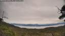 ./images/calvert/fitz-hugh-hecate/20250603/fitz-hugh-hecate20250603_103010M.jpg