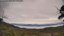 ./images/calvert/fitz-hugh-hecate/20250603/fitz-hugh-hecate20250603_103509M.jpg