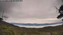 ./images/calvert/fitz-hugh-hecate/20250603/fitz-hugh-hecate20250603_104010M.jpg