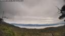 ./images/calvert/fitz-hugh-hecate/20250603/fitz-hugh-hecate20250603_104509M.jpg