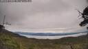 ./images/calvert/fitz-hugh-hecate/20250603/fitz-hugh-hecate20250603_105010M.jpg