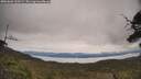 ./images/calvert/fitz-hugh-hecate/20250603/fitz-hugh-hecate20250603_110508M.jpg