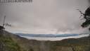 ./images/calvert/fitz-hugh-hecate/20250603/fitz-hugh-hecate20250603_111009M.jpg
