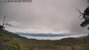 ./images/calvert/fitz-hugh-hecate/20250603/fitz-hugh-hecate20250603_111510M.jpg