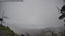 ./images/calvert/fitz-hugh-hecate/20250603/fitz-hugh-hecate20250603_112508M.jpg