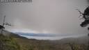 ./images/calvert/fitz-hugh-hecate/20250603/fitz-hugh-hecate20250603_113509M.jpg