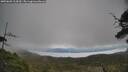 ./images/calvert/fitz-hugh-hecate/20250603/fitz-hugh-hecate20250603_114510M.jpg