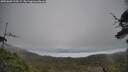 ./images/calvert/fitz-hugh-hecate/20250603/fitz-hugh-hecate20250603_115509M.jpg