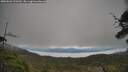 ./images/calvert/fitz-hugh-hecate/20250603/fitz-hugh-hecate20250603_120509M.jpg