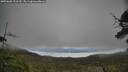 ./images/calvert/fitz-hugh-hecate/20250603/fitz-hugh-hecate20250603_121510M.jpg
