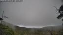 ./images/calvert/fitz-hugh-hecate/20250603/fitz-hugh-hecate20250603_122510M.jpg
