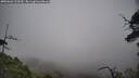 ./images/calvert/fitz-hugh-hecate/20250603/fitz-hugh-hecate20250603_123510M.jpg