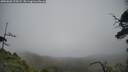 ./images/calvert/fitz-hugh-hecate/20250603/fitz-hugh-hecate20250603_125008M.jpg