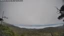 ./images/calvert/fitz-hugh-hecate/20250603/fitz-hugh-hecate20250603_125510M.jpg
