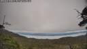 ./images/calvert/fitz-hugh-hecate/20250603/fitz-hugh-hecate20250603_130009M.jpg