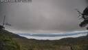 ./images/calvert/fitz-hugh-hecate/20250603/fitz-hugh-hecate20250603_131010M.jpg