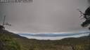 ./images/calvert/fitz-hugh-hecate/20250603/fitz-hugh-hecate20250603_132509M.jpg