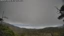 ./images/calvert/fitz-hugh-hecate/20250603/fitz-hugh-hecate20250603_133510M.jpg