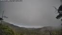 ./images/calvert/fitz-hugh-hecate/20250603/fitz-hugh-hecate20250603_134010M.jpg