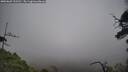 ./images/calvert/fitz-hugh-hecate/20250603/fitz-hugh-hecate20250603_135510M.jpg