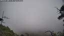 ./images/calvert/fitz-hugh-hecate/20250603/fitz-hugh-hecate20250603_140009M.jpg