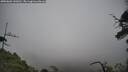 ./images/calvert/fitz-hugh-hecate/20250603/fitz-hugh-hecate20250603_141010M.jpg